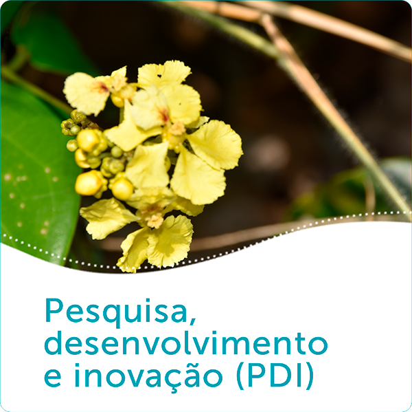 Pesquisa, desenvolvimento e inovação (PDI)